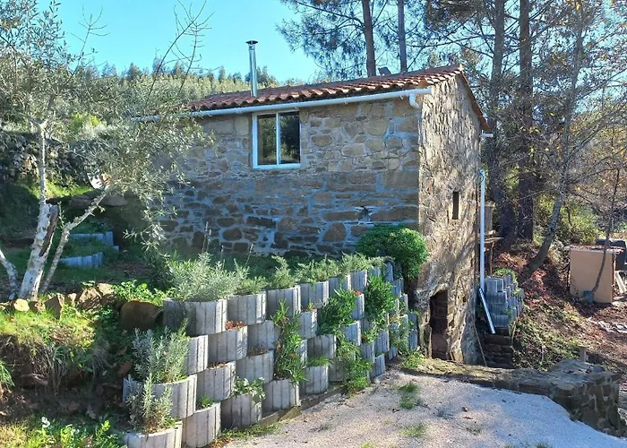 Cabana Do Carvalhal Apartmán *